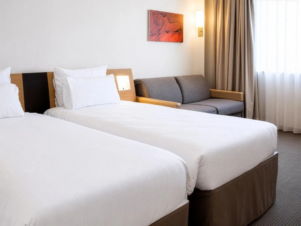 Camera Doppia con Letti Singoli — Sercotel Valladolid