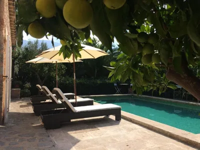 Ses llimoneres — Foto 4