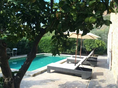 Ses llimoneres — Foto 8