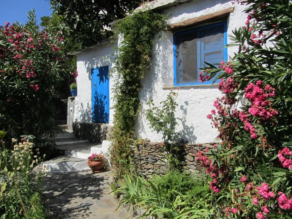 Habitación Individual — Sierra y Mar