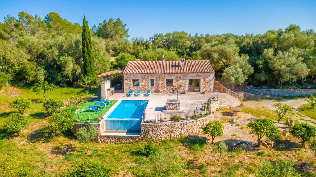 Son Barrigo