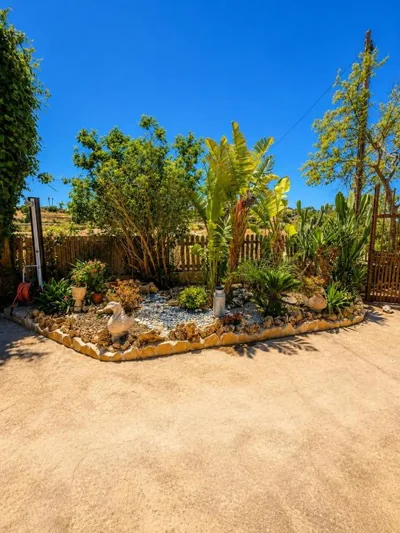 Son Roig ,Beautiful Place in the Heart of Mallorca -ETV 9979 — foto 11