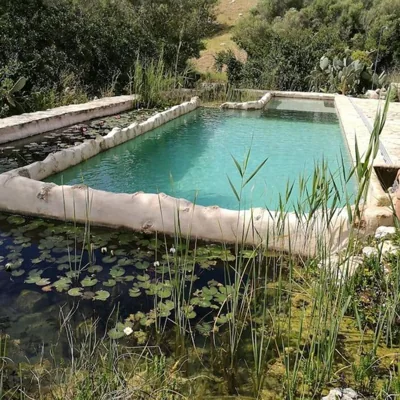 Son Vell. Mallorca. Casa amb piscina ecològica. — foto 7