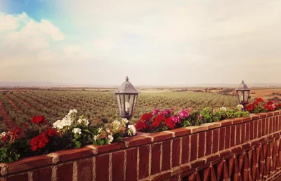 Spa Complejo Rural Las Abiertas — 照片 7