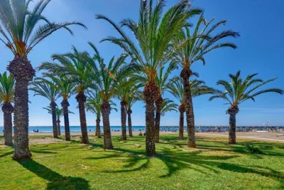Studio La Carihuela — foto 6