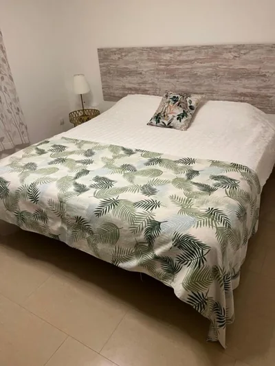 Stunning 3 bedroom rural apartment near Pinoso — photo 11