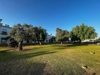 Suite en el corazón de Doñana — 照片 6