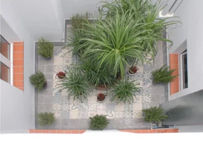 Suites del Arenal Olehousing — photo 9