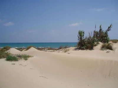 Sun & Blue Sea — photo 9