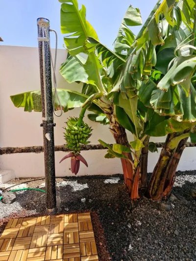 Sunrise Surf House, Big Garden, Hot Tub, Parking, super-fast free Wi-Fi — foto 7