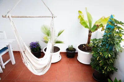 SURF DREAM Surfhouse — foto 10