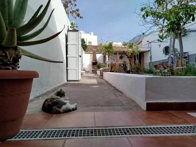 Susa and Pepe garden and house — foto 10