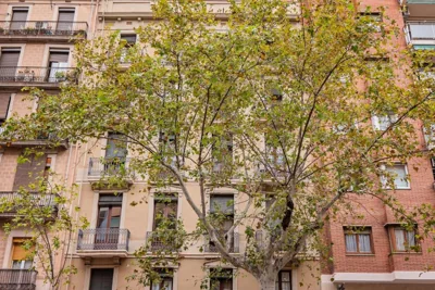 Sweett - Urgell Eixample — foto 11