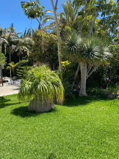 Taburiente — foto 10