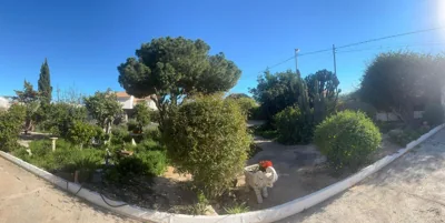 Tara Casa — photo 8