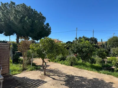 Tara Casa — photo 9