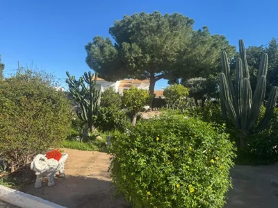 Tara Casa — photo 10