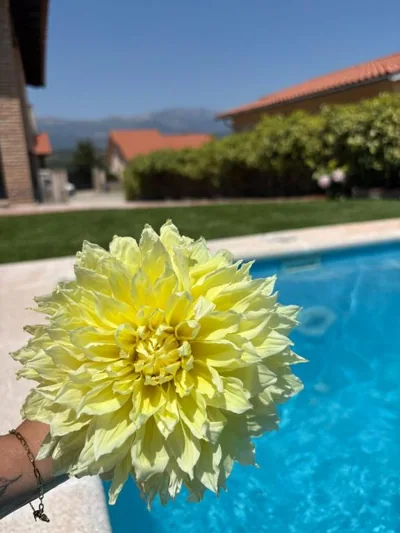 TAYP OrigenHomes — foto 8