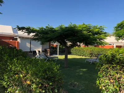 TC Bungalow Melocotones 15 — foto 2