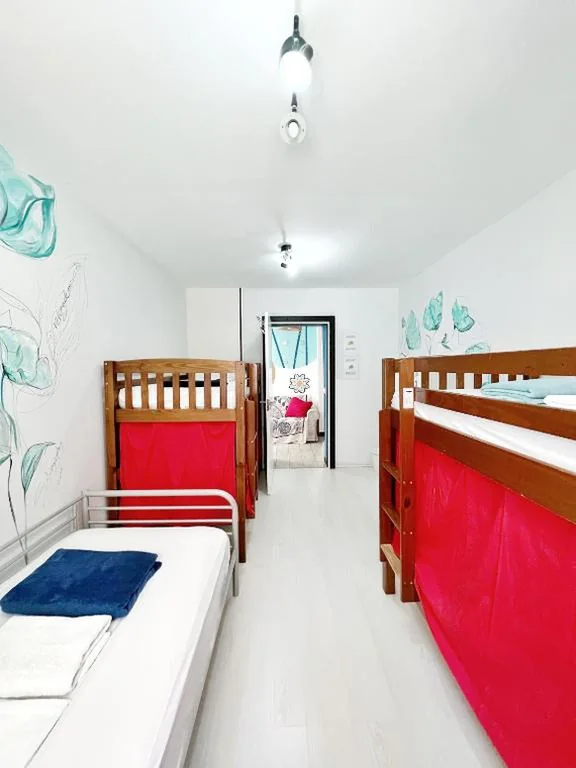 Cama en habitación mixta compartida de 5 camas — Tenerife Experience Hostel