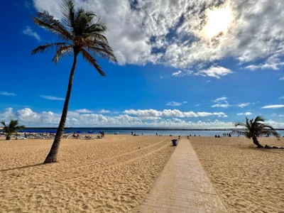 Teresitas Beach Escape Apartment — foto 3