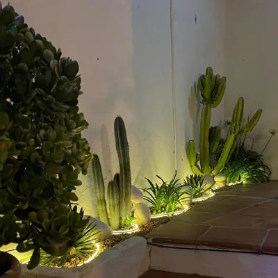 Terra Aloé — foto 10