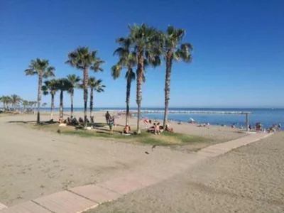 Terraza del Limonar — foto 6