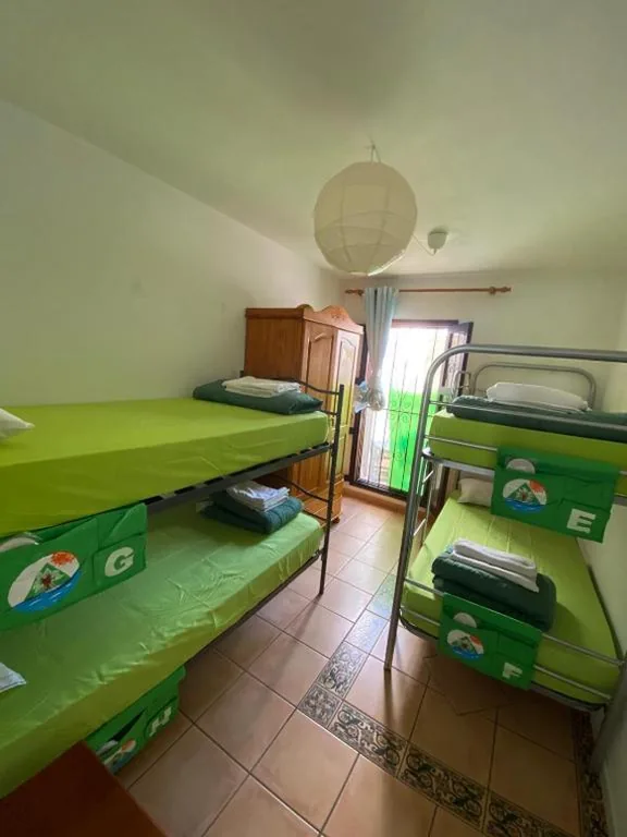 Lit dans un dortoir mixte de 4 lits — The Best House Tenerife Habitaciones Compartidas