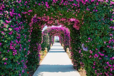The St. Regis Mardavall Mallorca Resort — foto 3