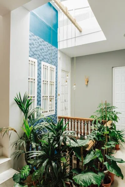 The Urban Jungle Hostel — foto 6