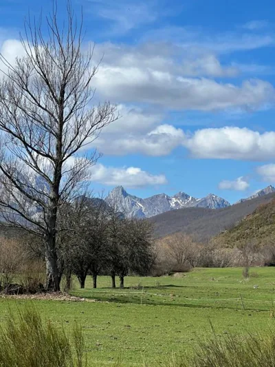 Tierra de la Reina — Foto 9