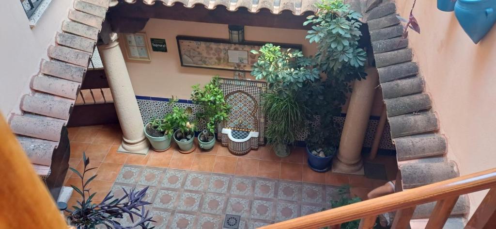 Toledo Magico
