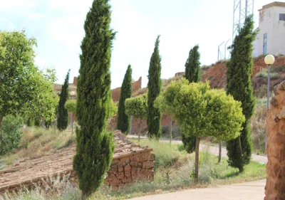Torrehermosa Rural — foto 12