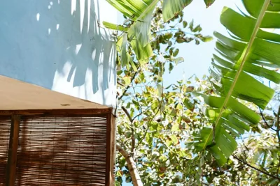 Tortuga blue house in banana plantation — foto 9