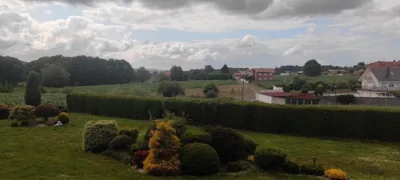 Toxiños Lavacolla — Foto 5
