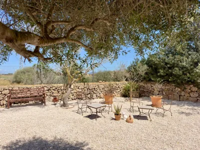 Traumhafte Finca am Es Trenc — foto 6