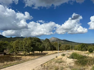 Tres Olivos — foto 12