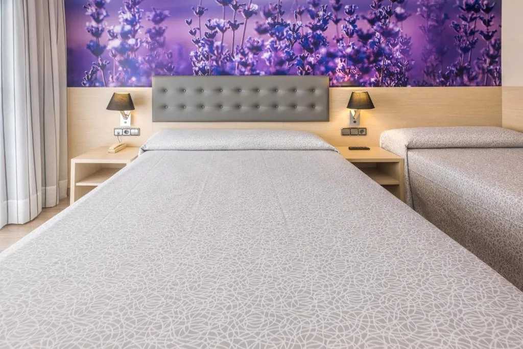 Chambre triple — Tropic Park