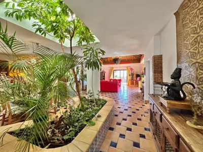 Tropical Garden Finca — foto 4
