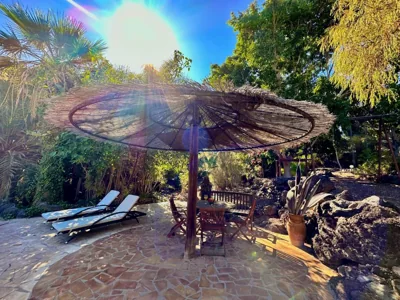 Tropical Garden Finca — foto 8