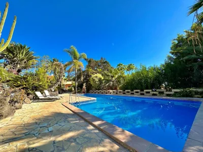 Tropical Garden Finca — foto 10