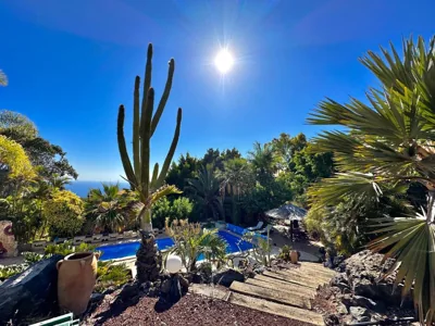 Tropical Garden Finca — foto 11
