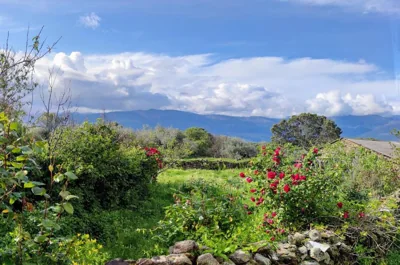 Tu Casa de Pueblo — 写真 5
