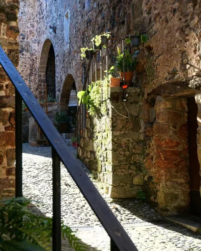 UMA Rural Boutique - La Garrotxa — foto 12