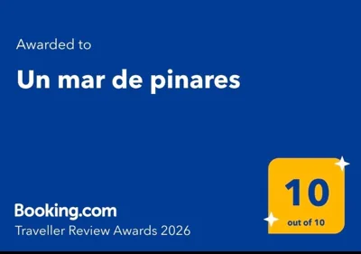 Un mar de pinares — foto 11