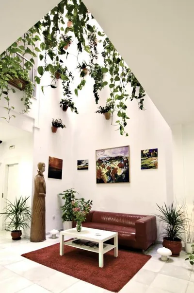 Un Patio en Santa Cruz — photo 8