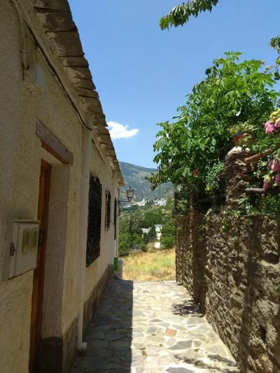 Una joya en la Alpujarra — foto 6