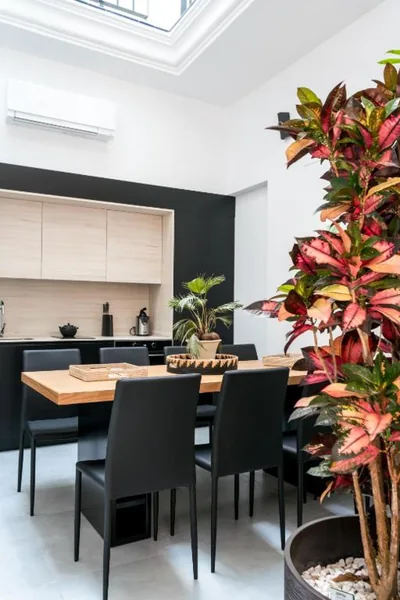 Unique House - Private SPA&Pool -StayInSeville — Foto 4