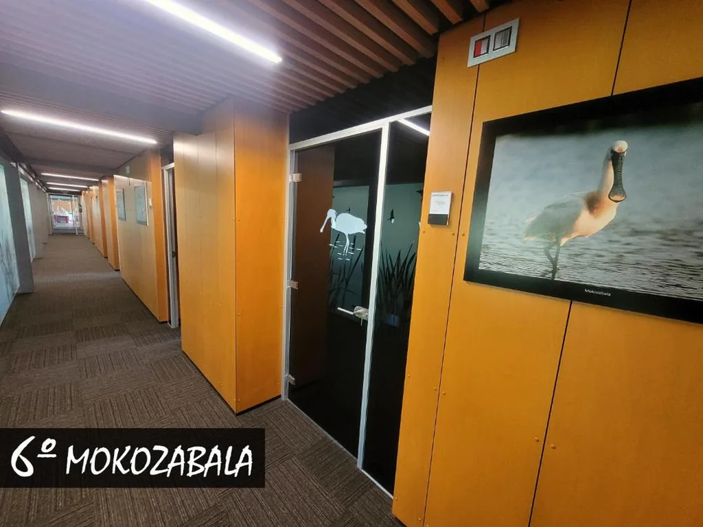 Habitación Doble adaptada para personas con movilidad reducida — Urdaibai Bird Center