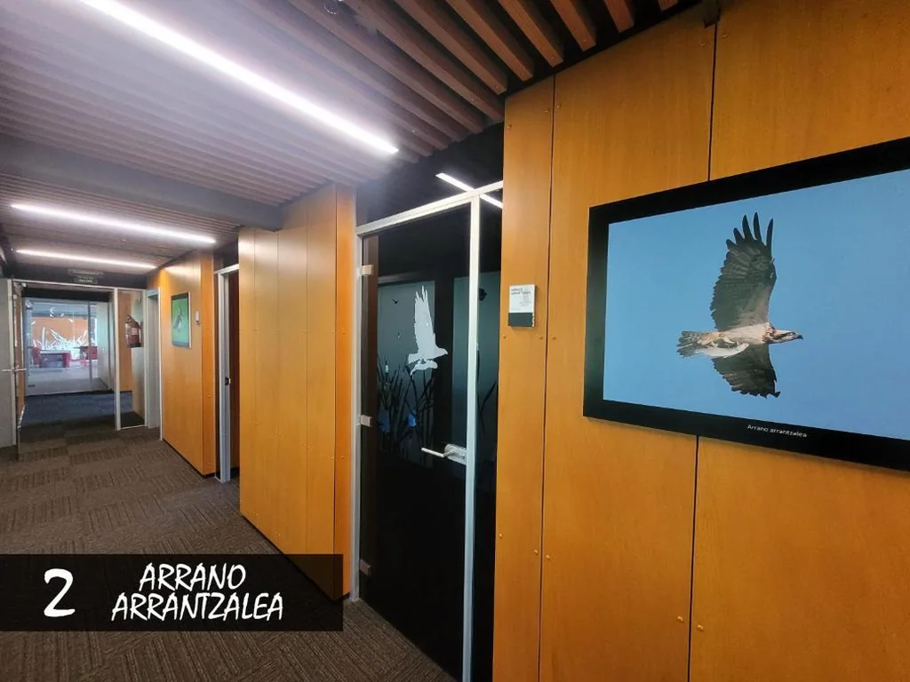Habitación Doble con baño privado — Urdaibai Bird Center